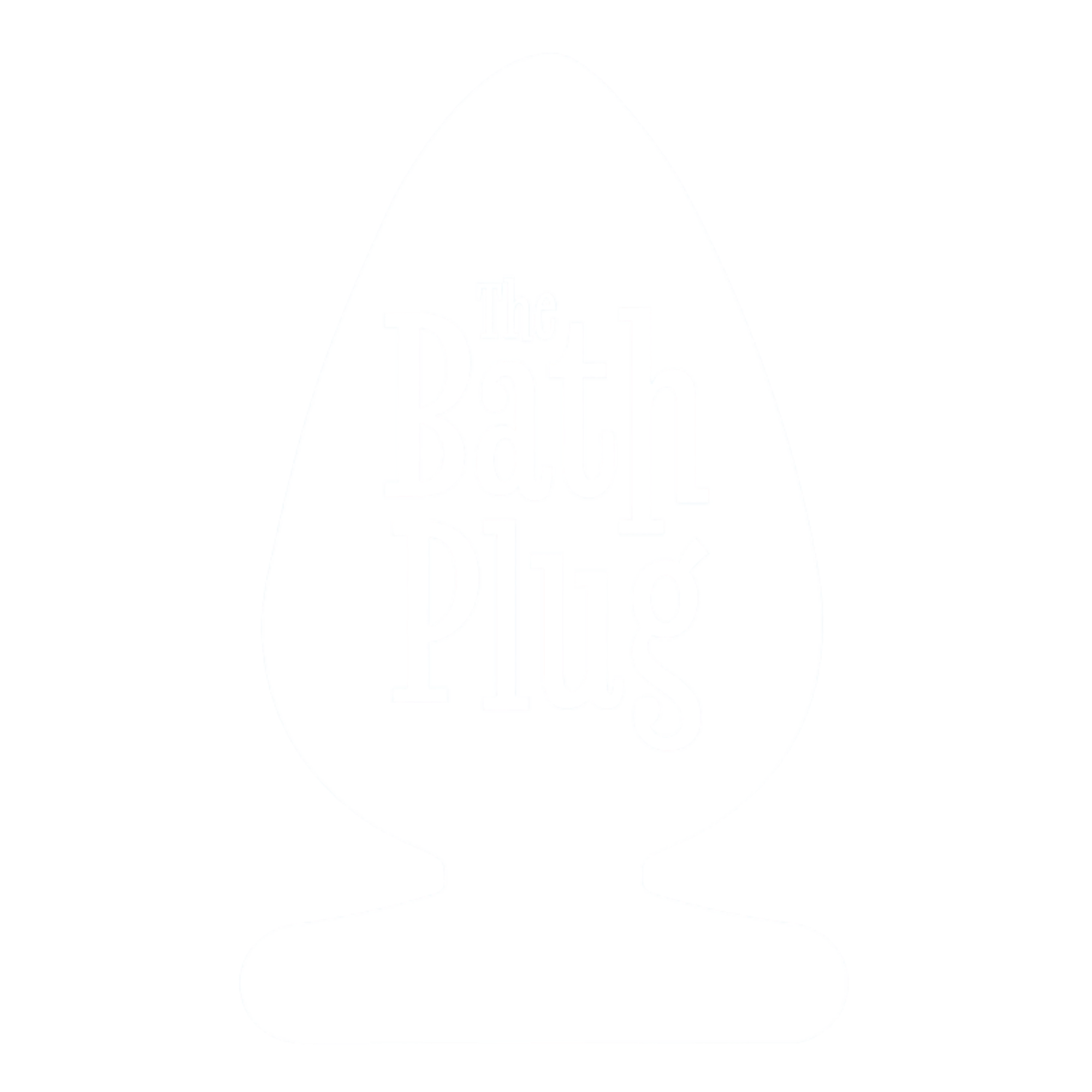 The Bath Plug